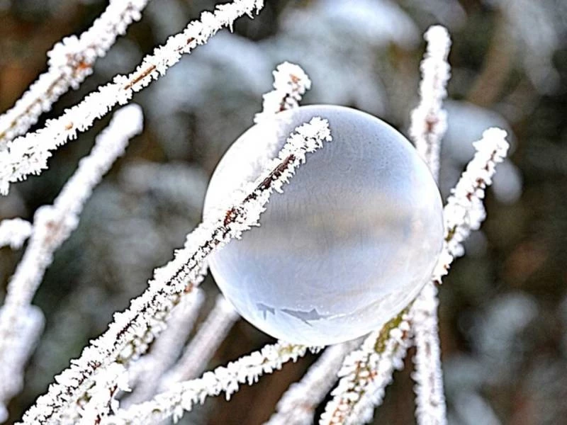 Европа на грани: как экстремальные температуры угрожают жизни миллионов