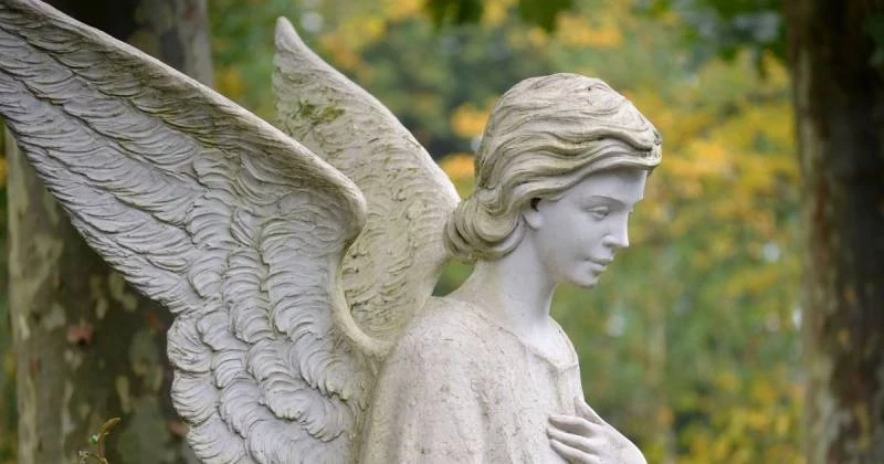 Алексея в День ангела 25 февраля поздравляют открытками и стихами