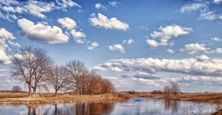 Маврикиев день православные отмечают 7 марта 2025 года