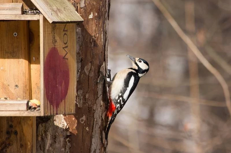 Народный праздник Порфирий Поздний отмечают 10 марта 2025 года