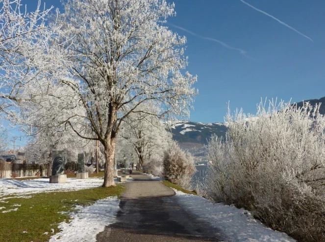 Козни лешего и блуждающие огни: поверья, традиции и приметы на Прокопия Перезимнего 12 марта 2025 года