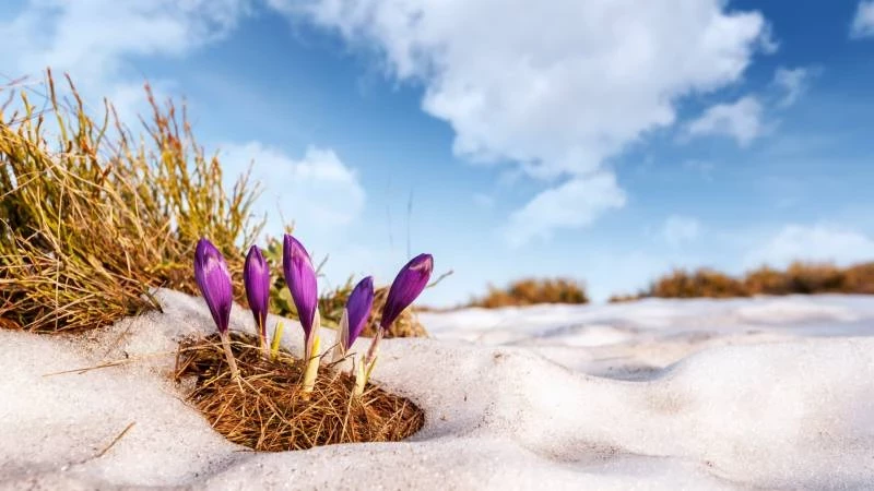 В России 13 марта 2025 года отмечают три праздника