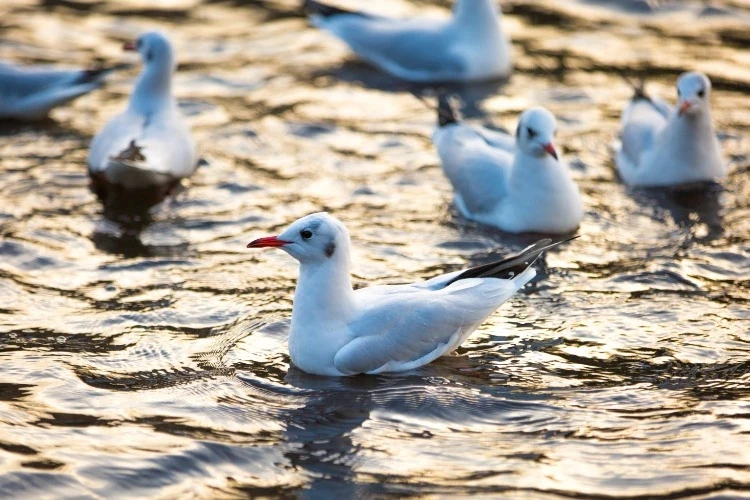 Приметы и поверья на 28 марта 2025 года подскажут, зачем в этот день нужно идти в лес