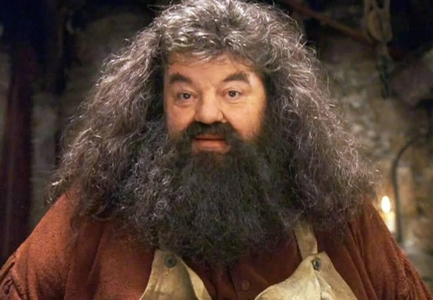 Стало известно, кто сыграет Хагрида в сериале о Гарри Поттере