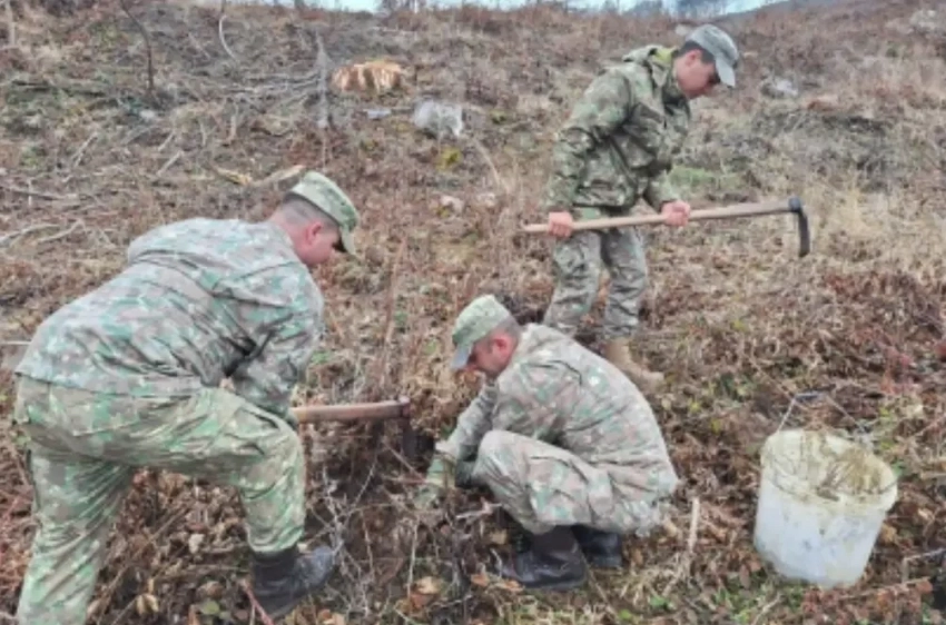 Запланированные на май учения НАТО в Румынии Dacian Spring 25 отложены из-за плохих дорог