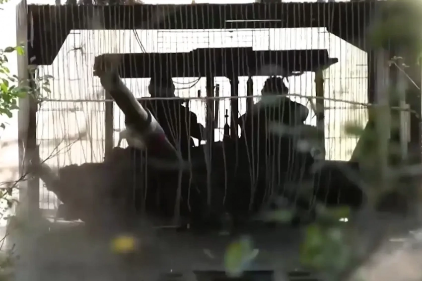 ВС России «срезали» выступ на линии обороны ВСУ между Сухой Балкой и пгт Новгородское в ДНР