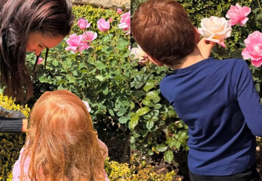 "Их рыжие волосы ненастоящие". В сети обсуждают новое фото детей Меган Маркл и принца Гарри