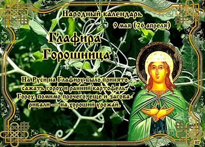 Приметы и поверья на 9 мая 2025 года: что нужно сделать в день Глафиры Горошницы