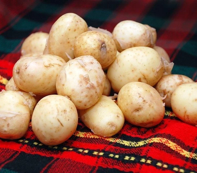 Тонкости приготовления молодой картошки: когда солить и что добавить, чтобы было вкусно