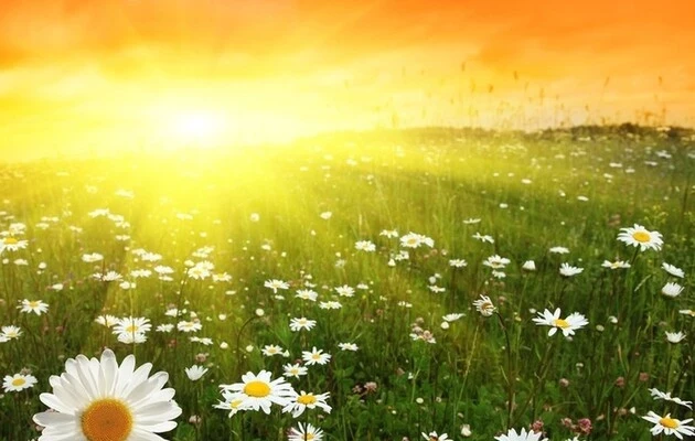 Магия летнего солнцестояния 21 июня 2025 года: в чём она заключается