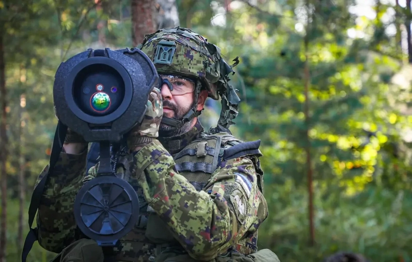 Президент Эстонии: Таллин может послать войска на Украину после прекращения огня