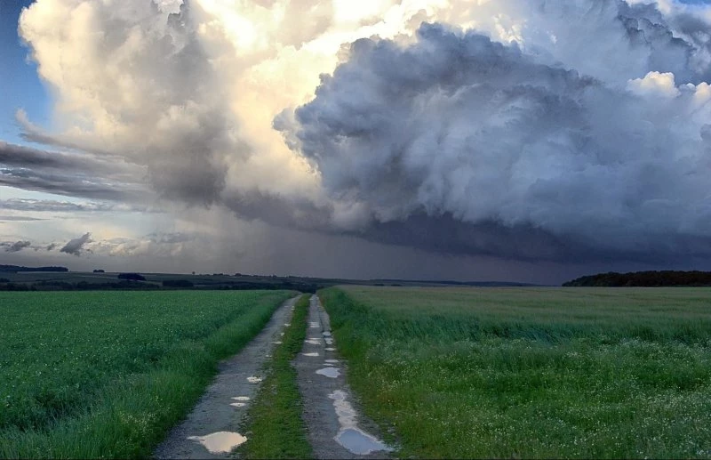 Приметы и заговоры на 3 июля 2025 года помогут разбогатеть