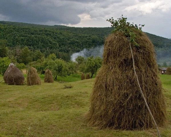 Праздник Самсон Сеногной 10 июля 2025 года: история, традиции и приметы