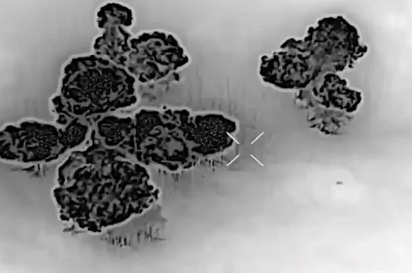 Пока противник сосредоточился на атаках к северу от Сум, ВС РФ вошли в Сумскую область ещё на одном участке - северо-восточнее реки Удава