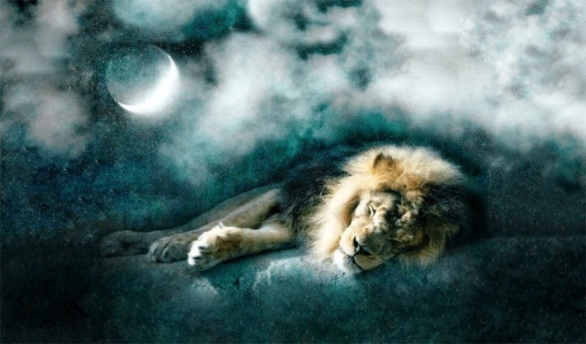 Каким будет новолуние во Льве в июле 2025 года: что ни в коем случае нельзя делать