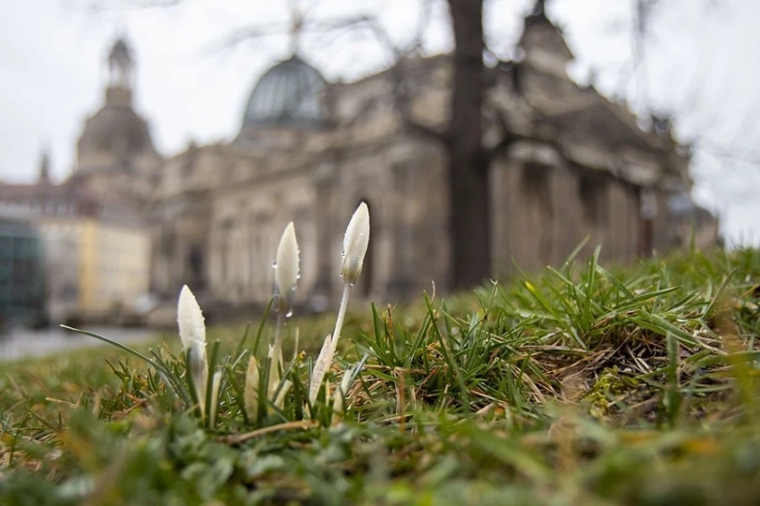 Молодые немцы должны знать, что во время бомбардировки Дрездена погибло больше людей, чем в Хиросиме и Нагасаки вместе взятых
