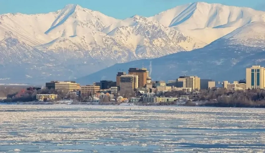 Почему Аляска, почему Уиткофф? Потому что ближе к Трампу